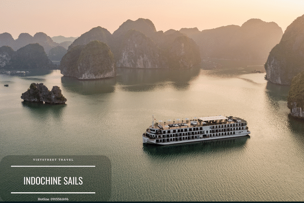 Du thuyền Indochine Sails tuyến Lan Hạ-1