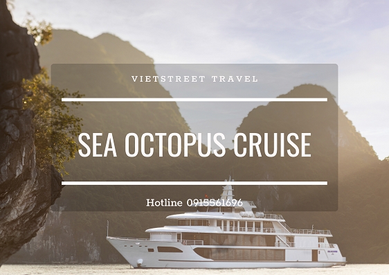 Du thuyền 5 sao Sea Octopus 